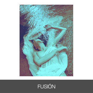 icono_fusion